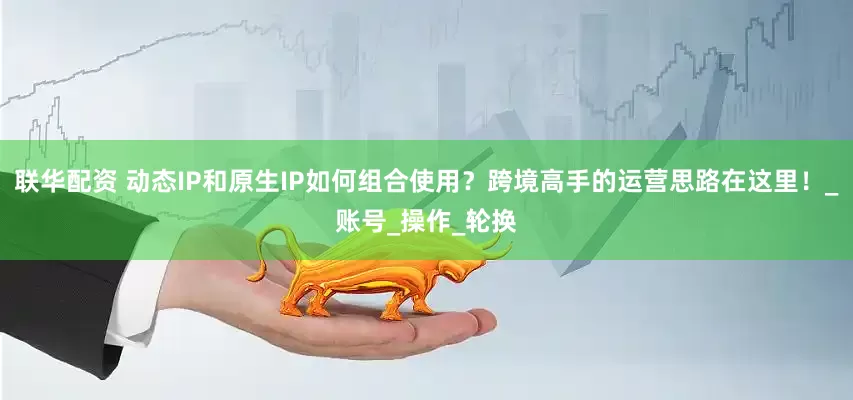 联华配资 动态IP和原生IP如何组合使用？跨境高手的运营思路在这里！_账号_操作_轮换