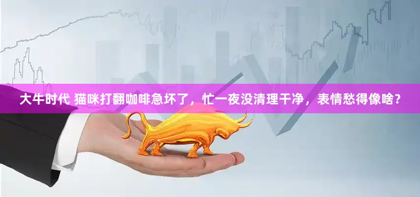 大牛时代 猫咪打翻咖啡急坏了，忙一夜没清理干净，表情愁得像啥？