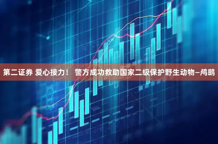 第二证券 爱心接力！ 警方成功救助国家二级保护野生动物—鸬鹚