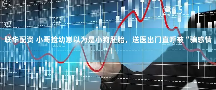 联华配资 小哥捡幼崽以为是小狗胚胎，送医出门直呼被“骗感情”！