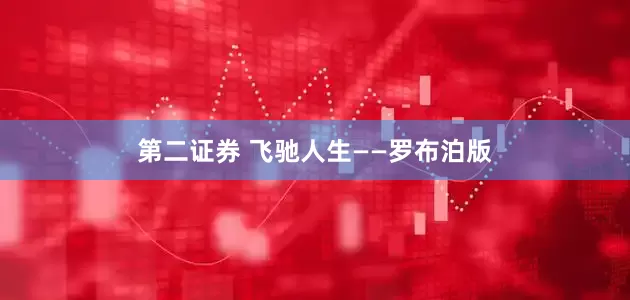 第二证券 飞驰人生——罗布泊版