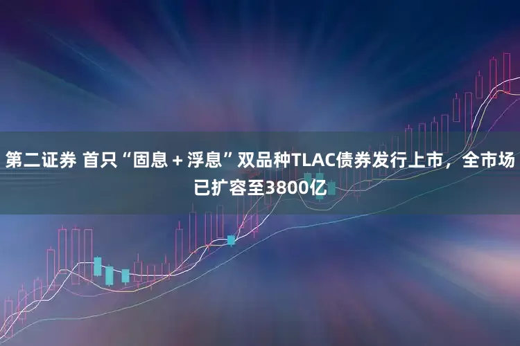 第二证券 首只“固息＋浮息”双品种TLAC债券发行上市，全市场已扩容至3800亿